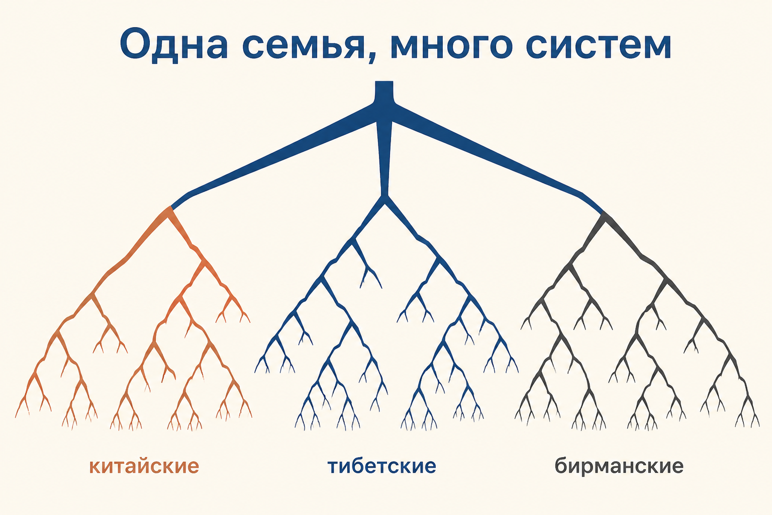 Схема одной языковой семьи с китайскими, тибетскими и бирманскими ветвями.