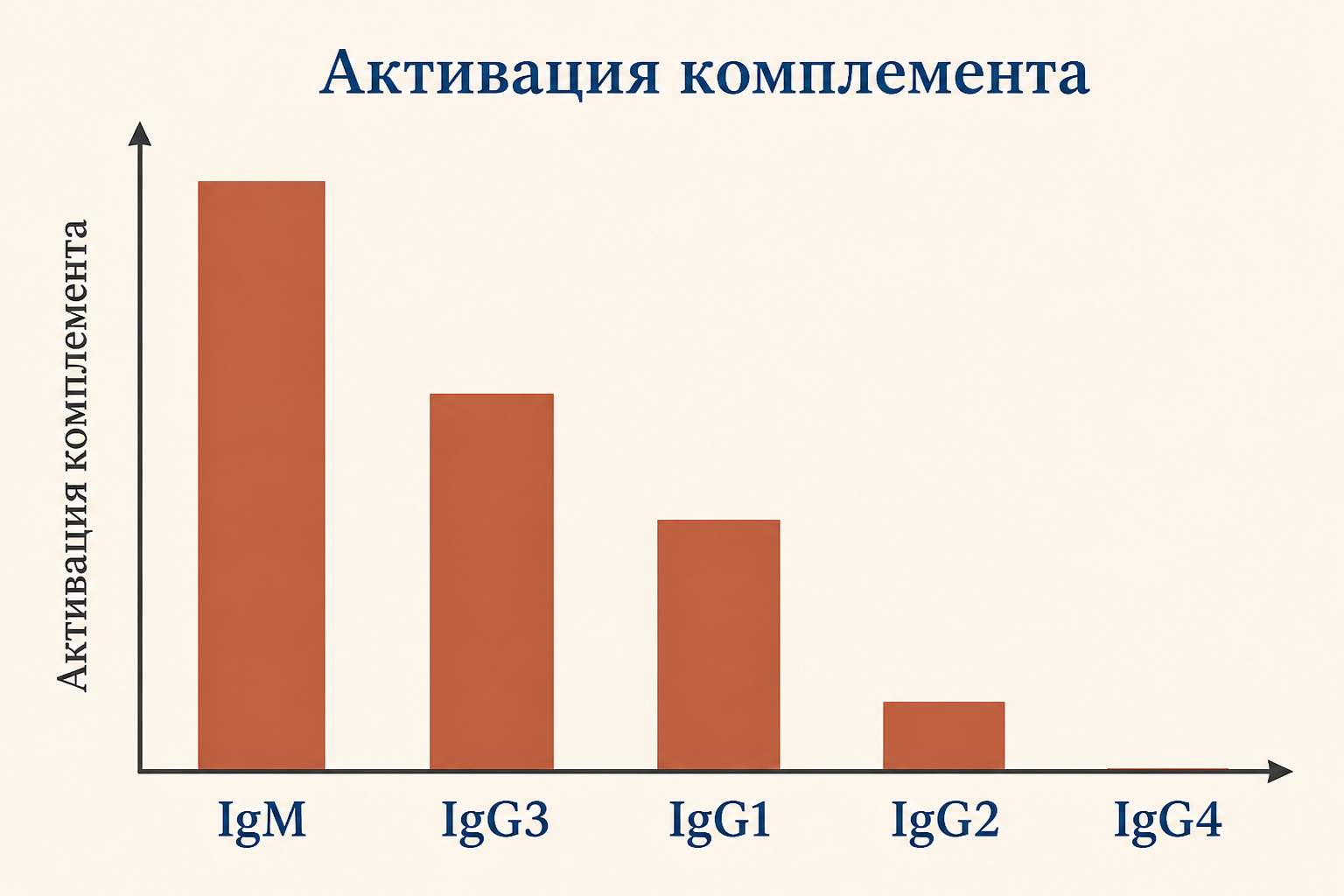 Изотипы иммуноглобулинов и их способность активировать классический путь: IgM сильнейший, IgG3 и IgG1, IgG2 слабый, IgG4 отсутствует
