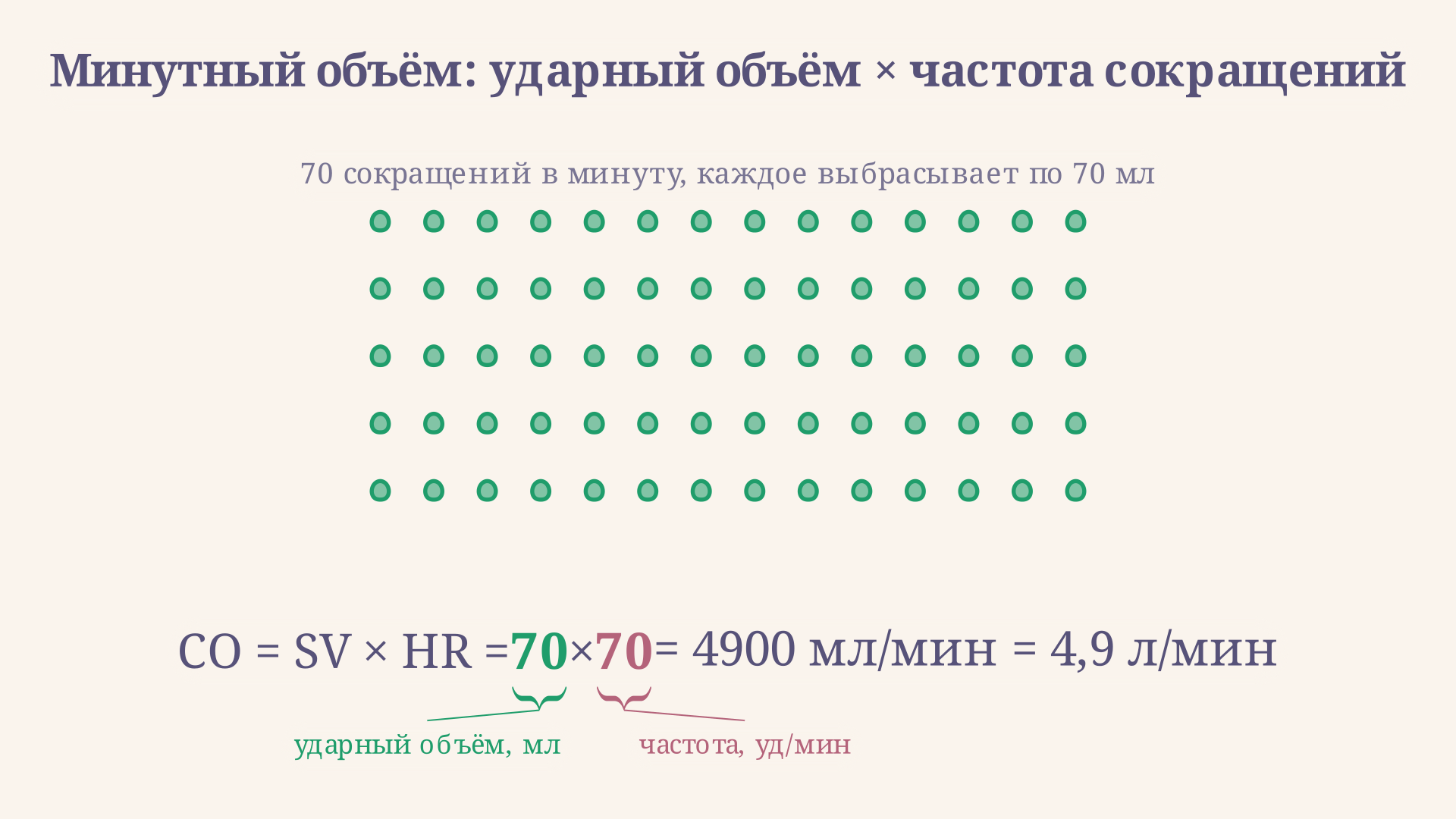 Минутный объём как произведение ударного объёма на частоту сокращений: одна и та же подача крови в минуту достигается либо реже большими порциями, либо чаще малыми