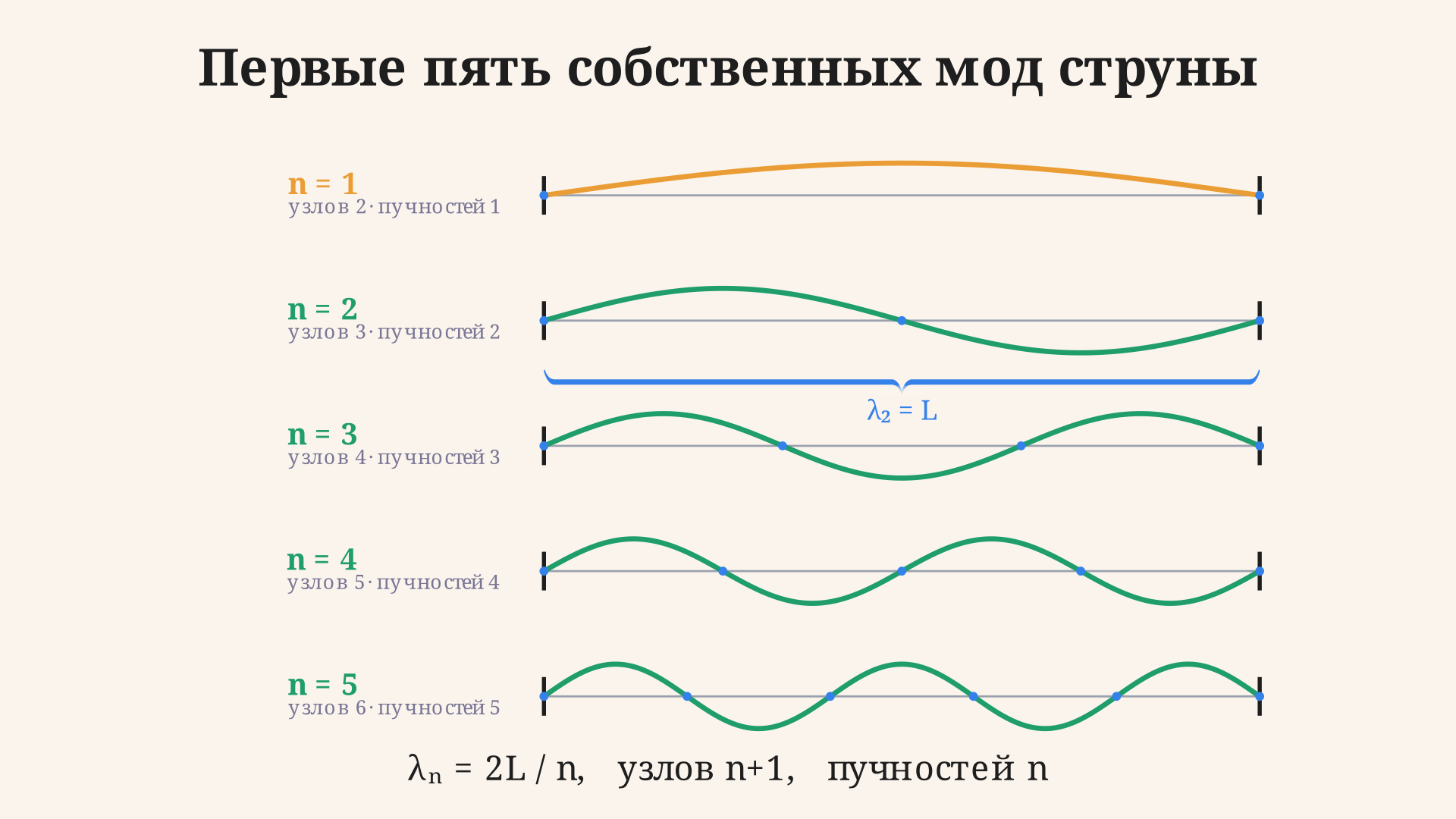 Профиль первых пяти собственных мод струны: при росте n число полуволн и внутренних узлов увеличивается, а частота растёт пропорционально номеру