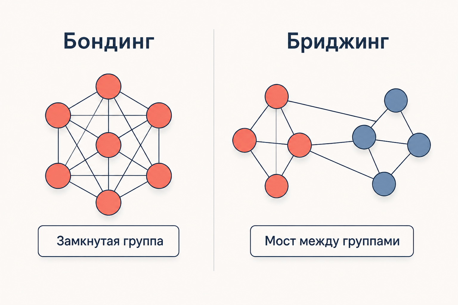 Сравнение бондинг и бриджинг социального капитала