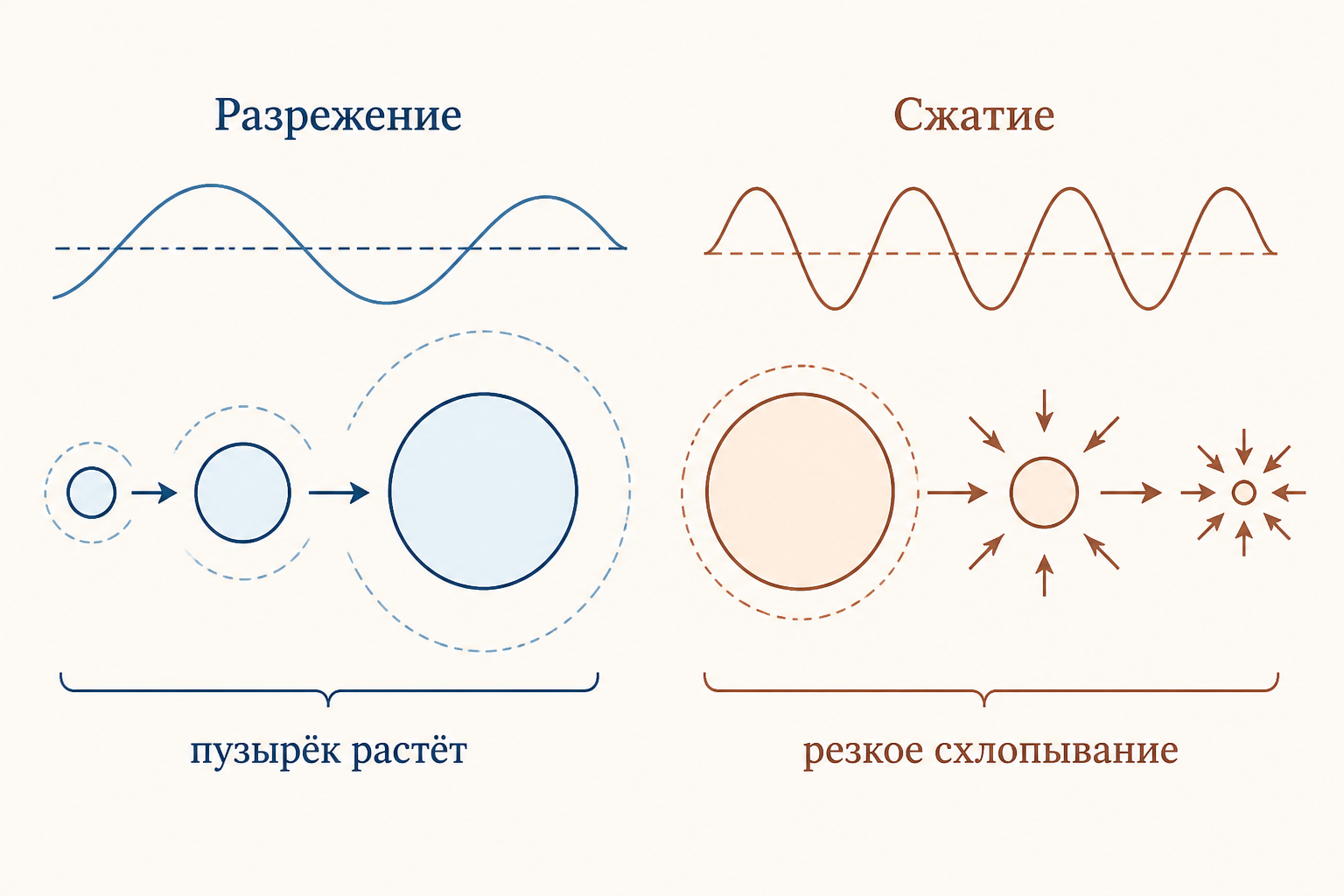 Схема акустической кавитации: в фазе разрежения звуковой волны пузырёк растёт, в фазе сжатия резко схлопывается