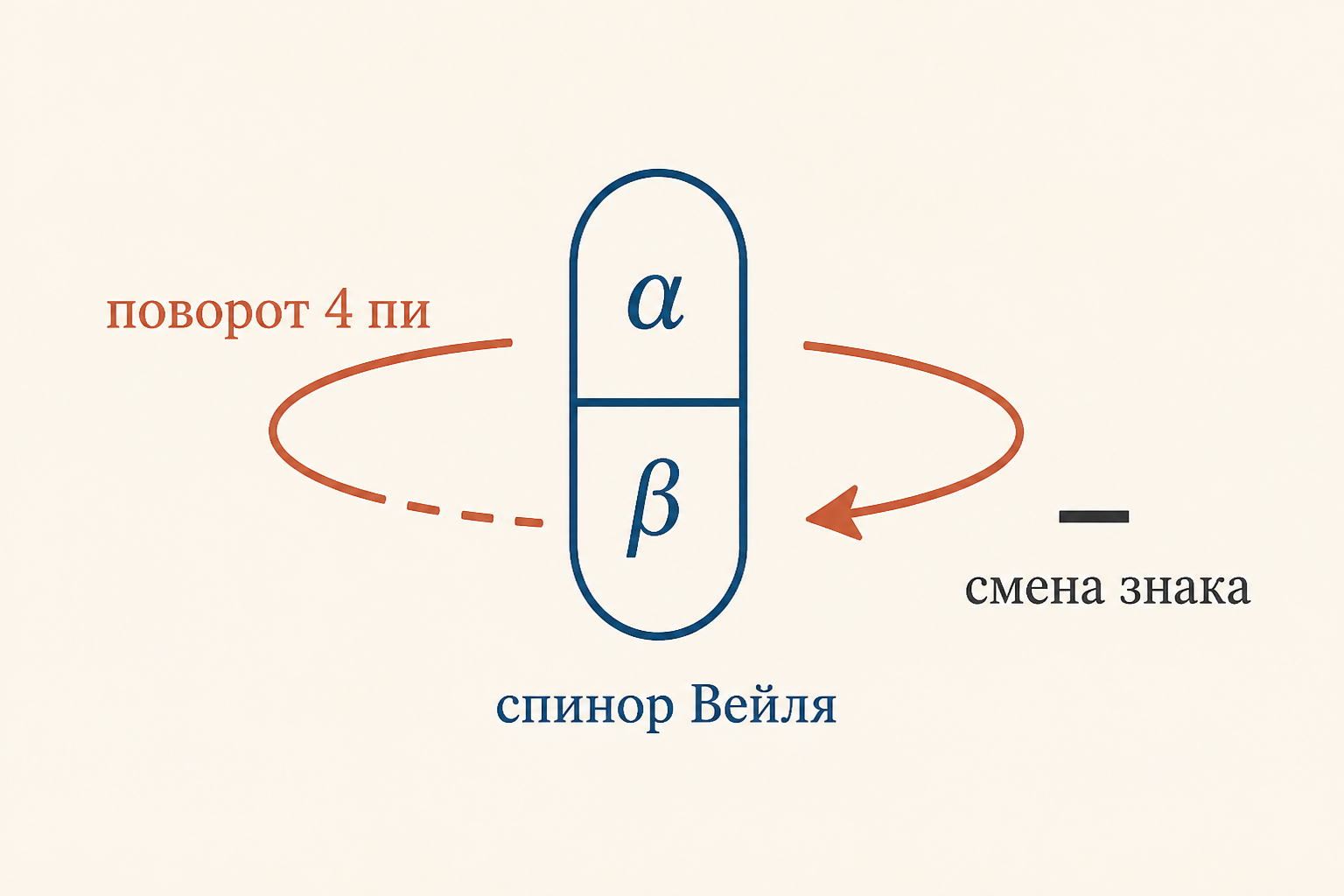 Двухкомпонентный спинор psi-L преобразуется по представлению Лоренца, поворот на 4 пи возвращает знак - схема спинорной природы
