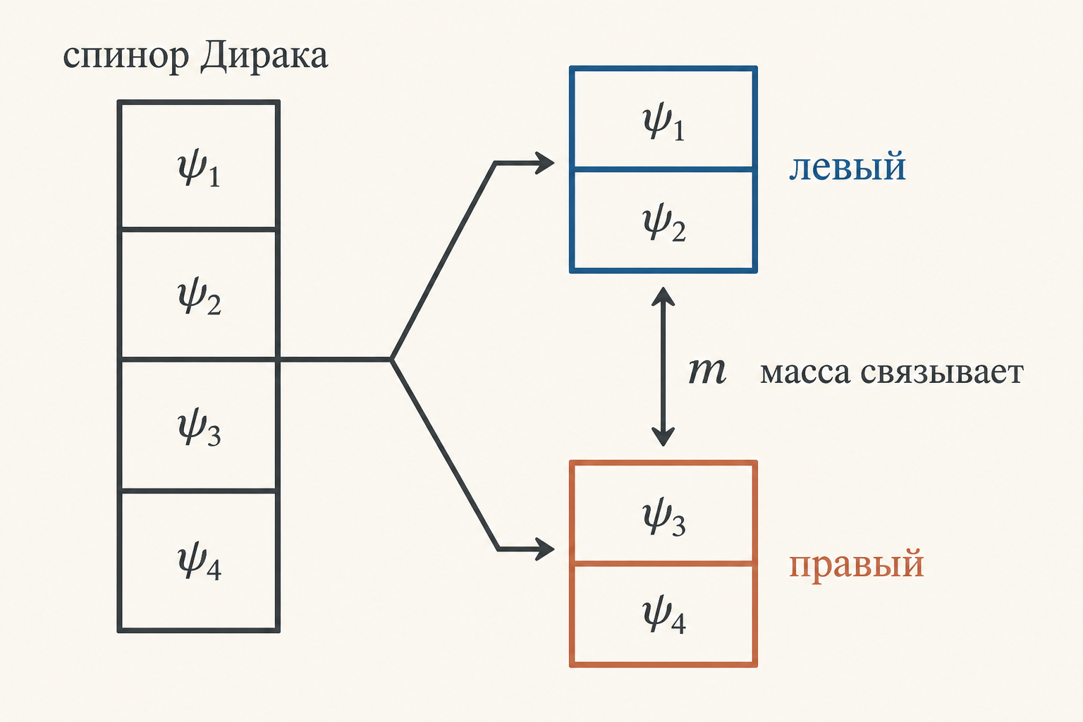 Спинор Дирака psi-D распадается на левый psi-L и правый psi-R, массовый член m связывает их - схема разложения