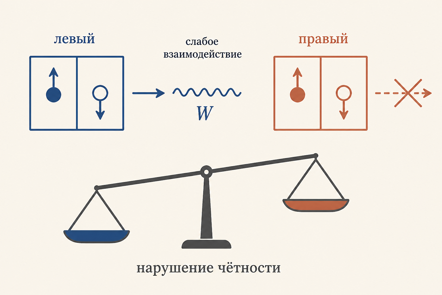 Левый спинор и слабое взаимодействие, правый спинор инертен, нарушение чётности - схема роли киральности в Стандартной модели