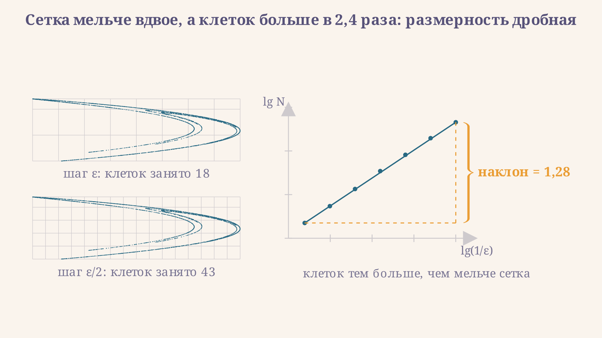 Подсчёт клеток на аттракторе Хенона: при уменьшении шага сетки вдвое число занятых клеток растёт с 18 до 43, то есть в 2,4 раза, а наклон прямой в осях логарифмов равен 1,28