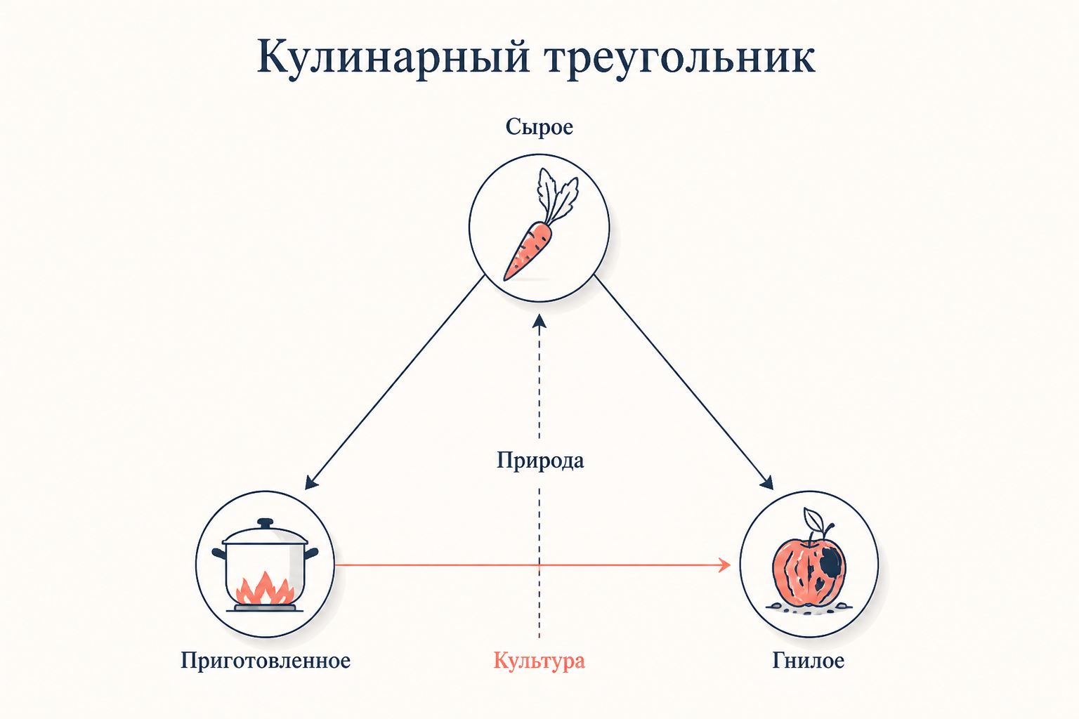 Кулинарный треугольник Леви-Стросса с тремя вершинами сырое, приготовленное и гнилое и осями природа и культура