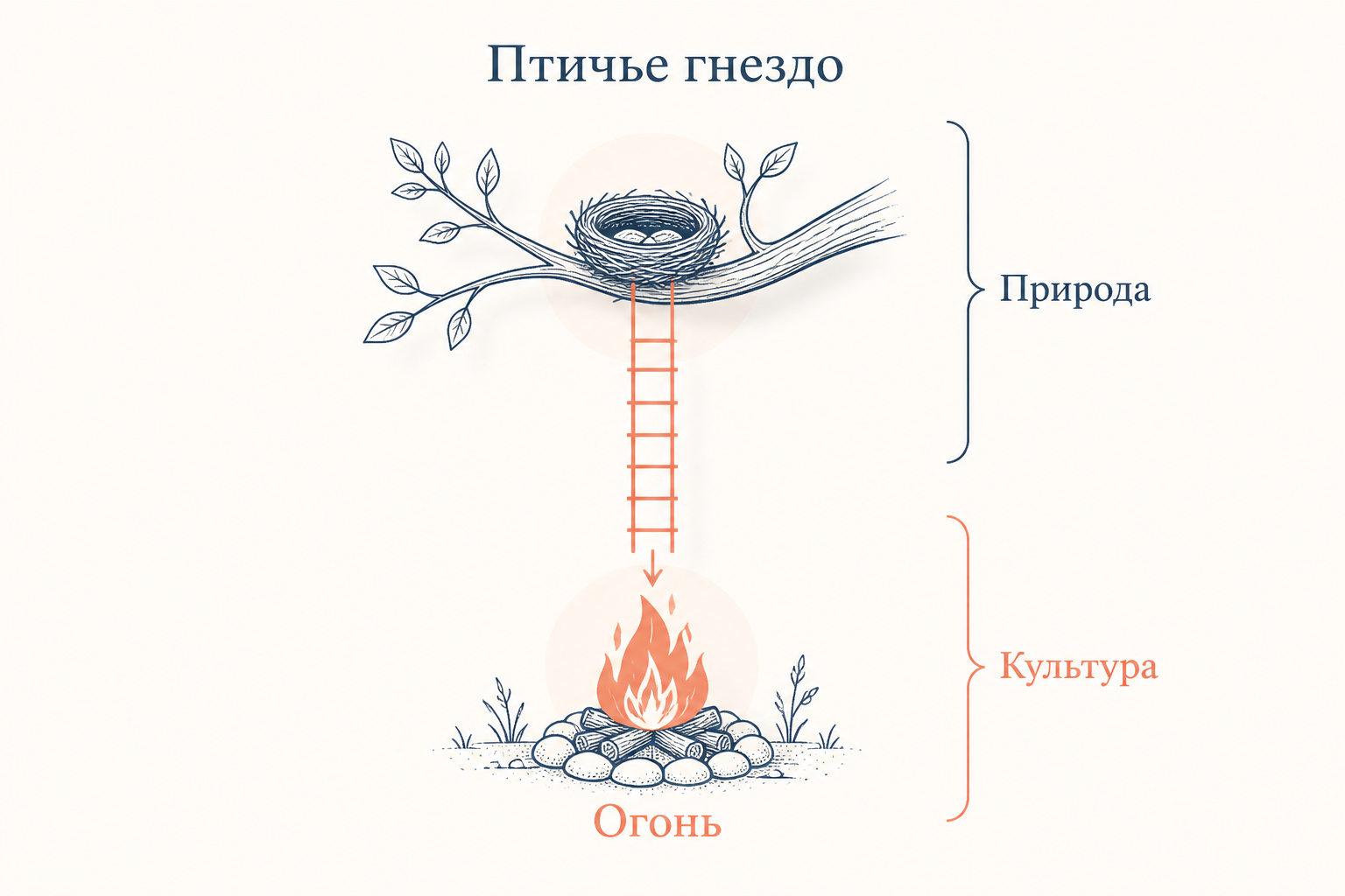 Базовый миф о разорителе птичьих гнёзд как преобразование структуры природа культура через появление огня