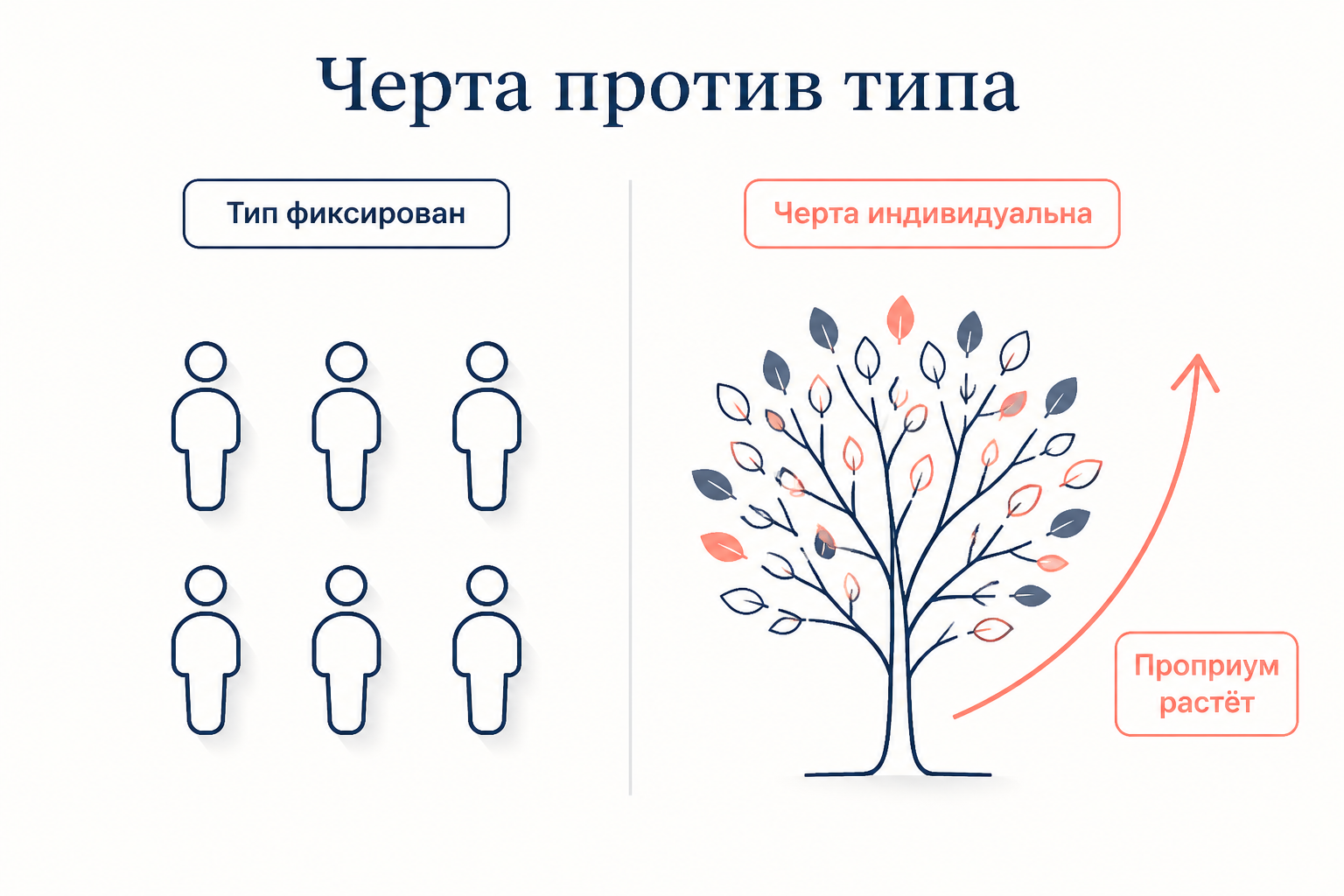 Сравнение черты и типа: тип задаёт фиксированную категорию, черта индивидуальна и допускает рост личности через проприум