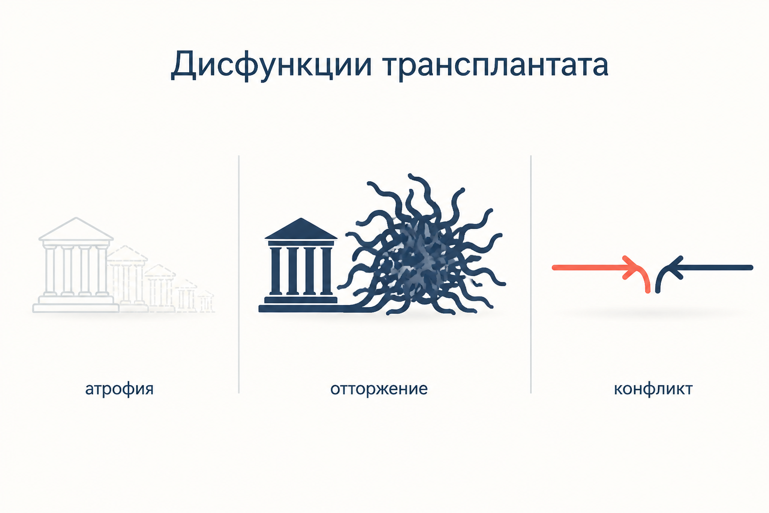 Три исхода неудачной пересадки института: атрофия, отторжение с ростом теневого заменителя и конфликт с действующими нормами