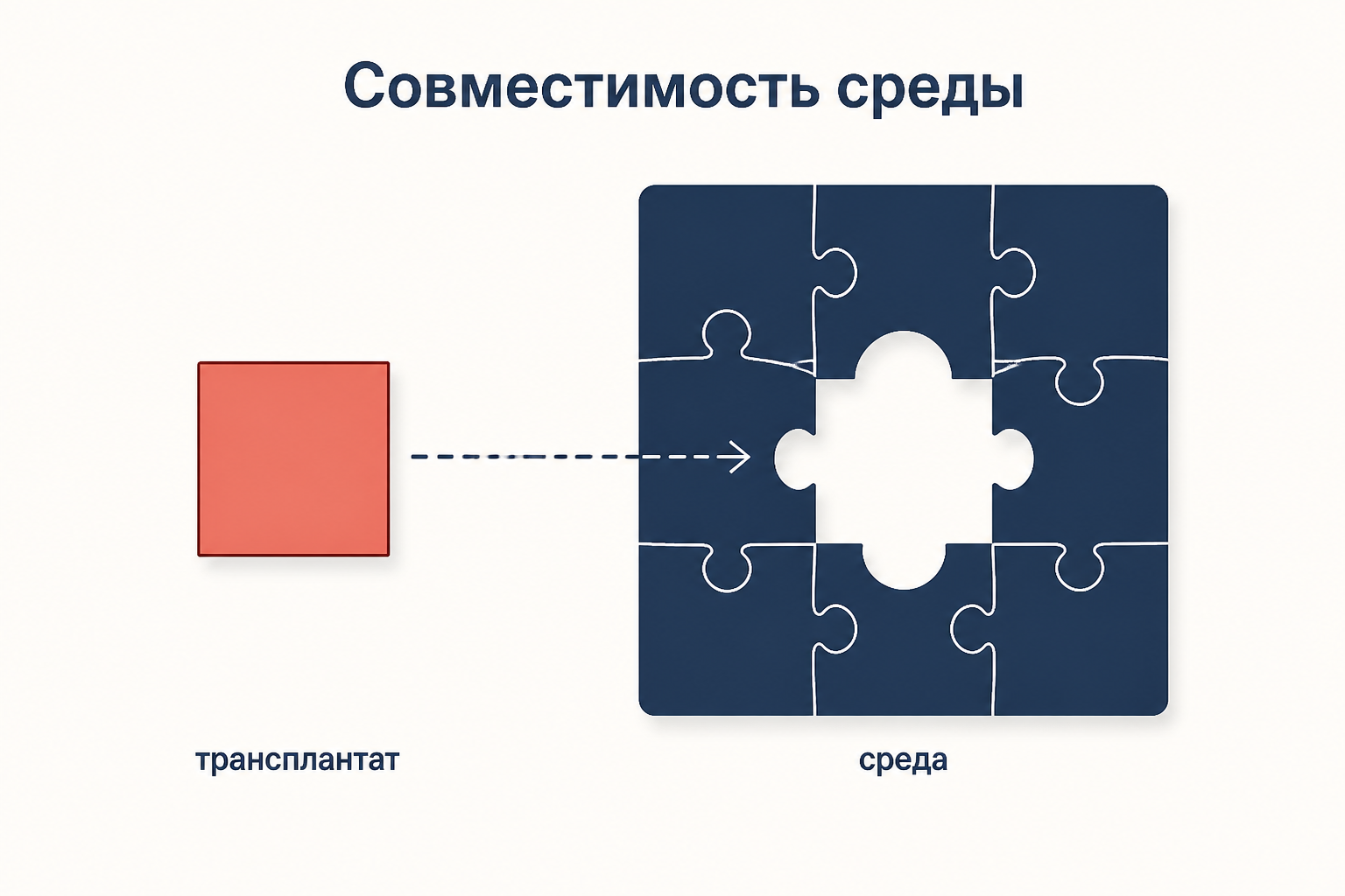 Метафора совместимости: чужая деталь не входит в механизм принимающей среды, пока не подогнана под соседние элементы
