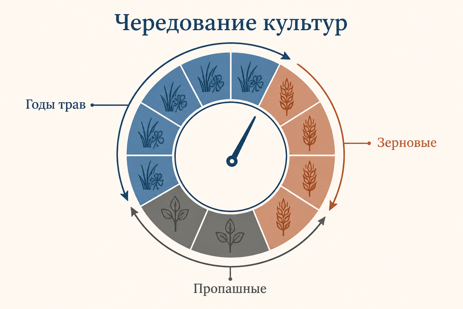 Круговая схема чередования трав, зерновых и пропашных культур