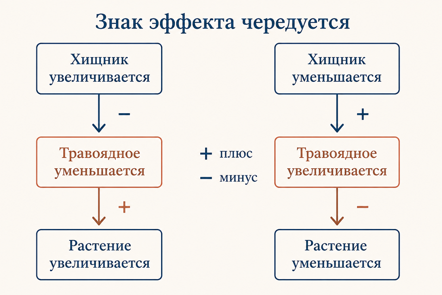 Схема чередования знака: при росте хищника травоядное уменьшается, а растение увеличивается; при снижении хищника знак на каждом уровне противоположный. Плюс и минус показывают, как эффект инвертируется на каждом звене.