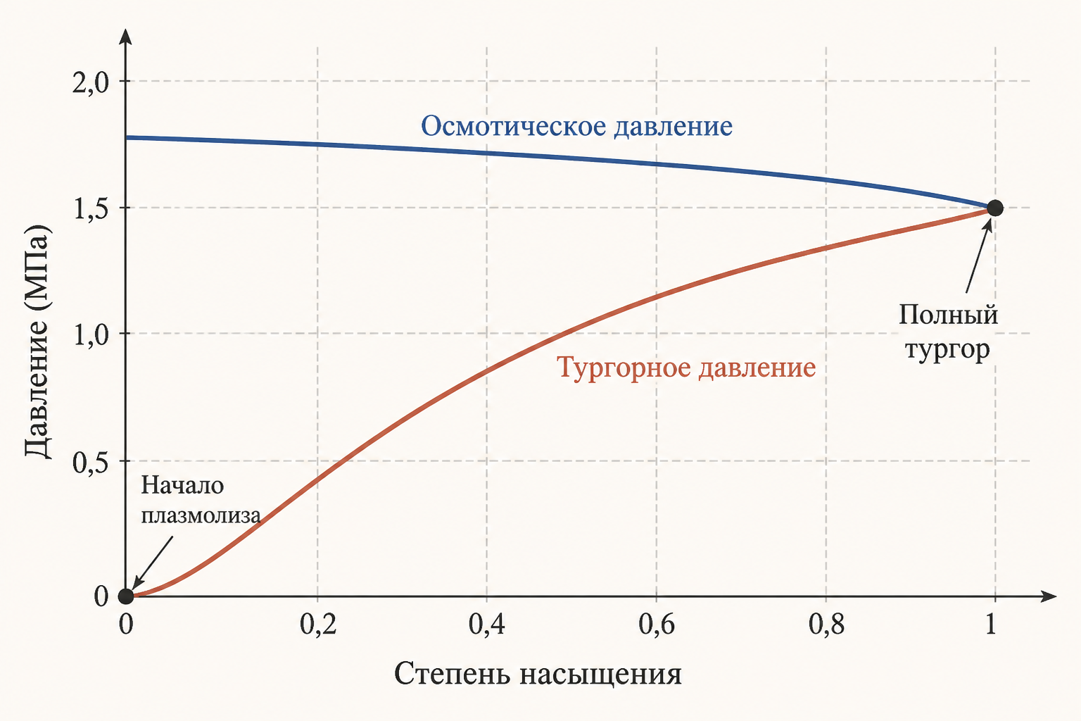 Зависимость тургорного давления от водного потенциала клетки и степени насыщения