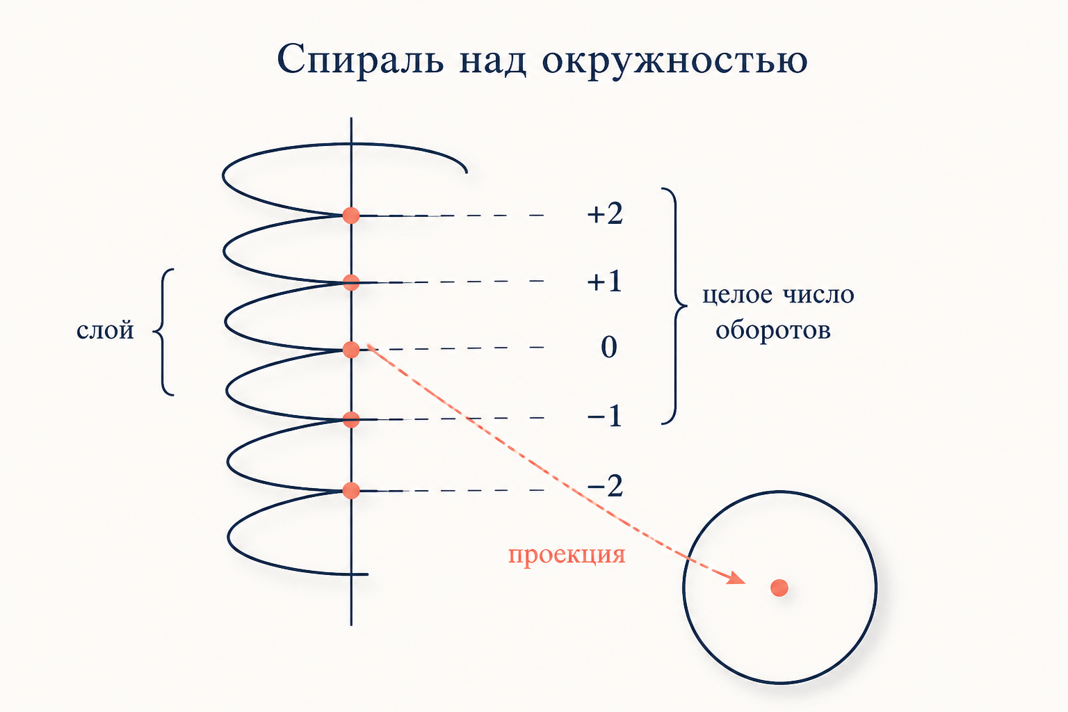 Спираль над окружностью: вертикальная прямая накручивается на круг, точки слоя над одной точкой отличаются на целое число оборотов