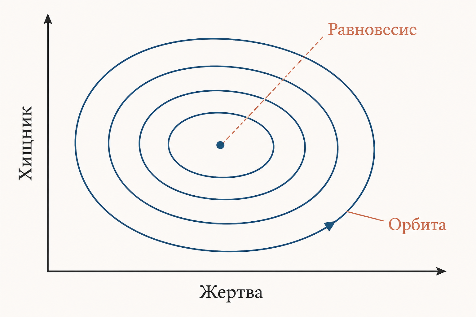 Иллюстрация фазового портрета системы хищник-жертва: замкнутые орбиты вокруг точки равновесия