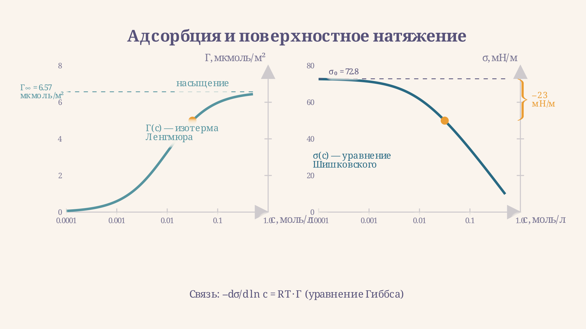 Изотерма адсорбции Гамма(c) и соответствующая изотерма поверхностного натяжения sigma(c): на левом графике Гамма растёт к насыщению, на правом sigma убывает логарифмически