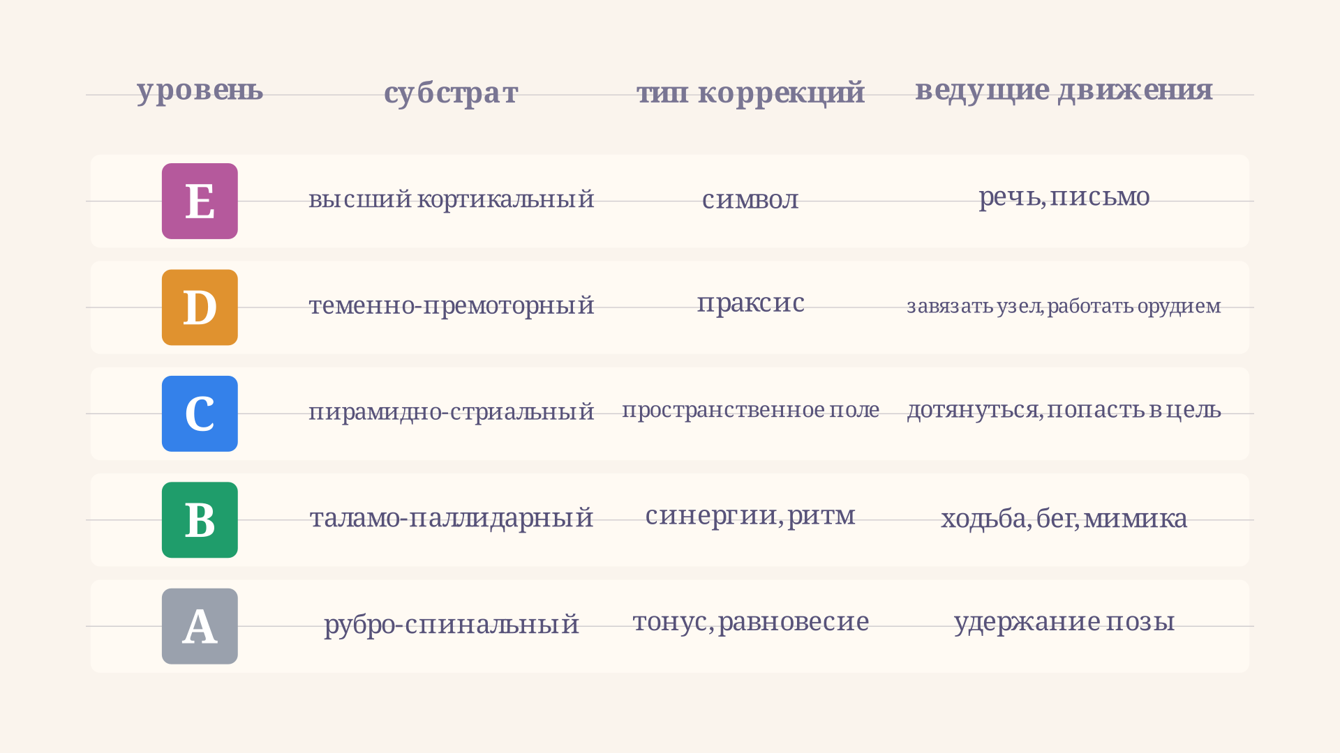 Пятиэтажная иерархия уровней построения движений A, B, C, D, E с указанием анатомического субстрата и типа коррекций на каждом этаже