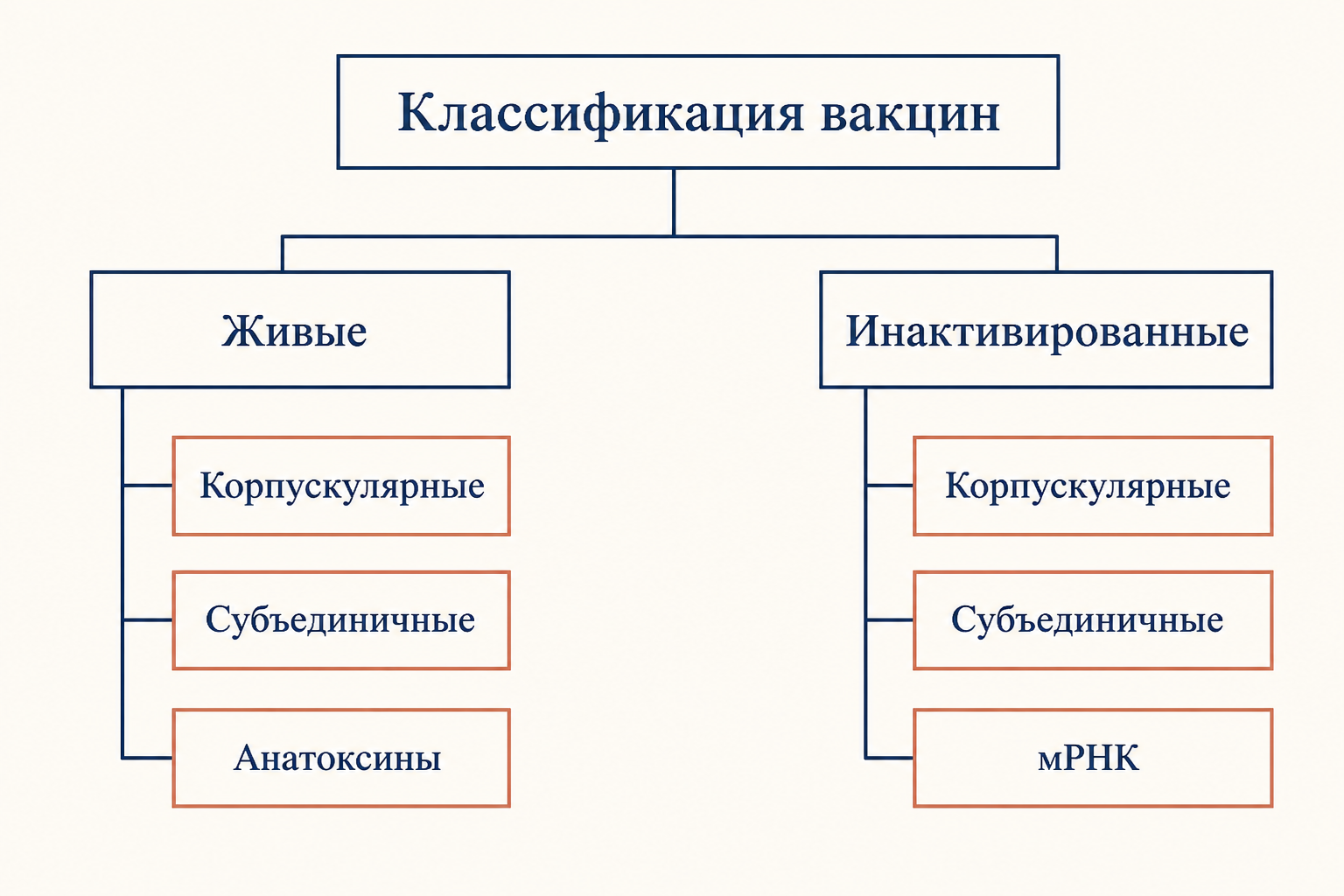 Дерево классификации вакцин: живые и инактивированные с подтипами