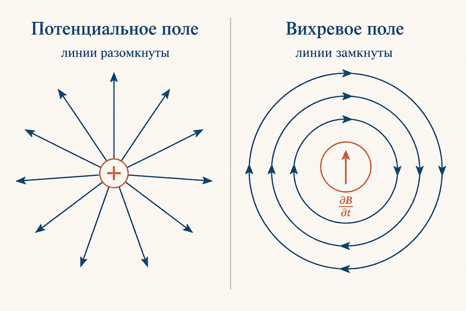Сравнение двух полей: слева разомкнутые линии от заряда с подписью потенциальное поле, справа замкнутые кольца вокруг меняющегося магнитного поля с подписью вихревое поле