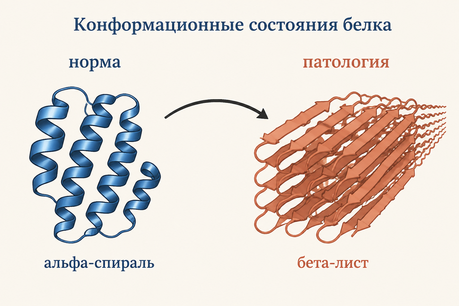 Две конформации прионного белка: альфа-спиральная норма и бета-складчатая патология