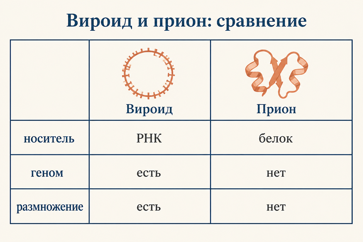 Таблица сравнения вироида и приона по природе, геному и репликации