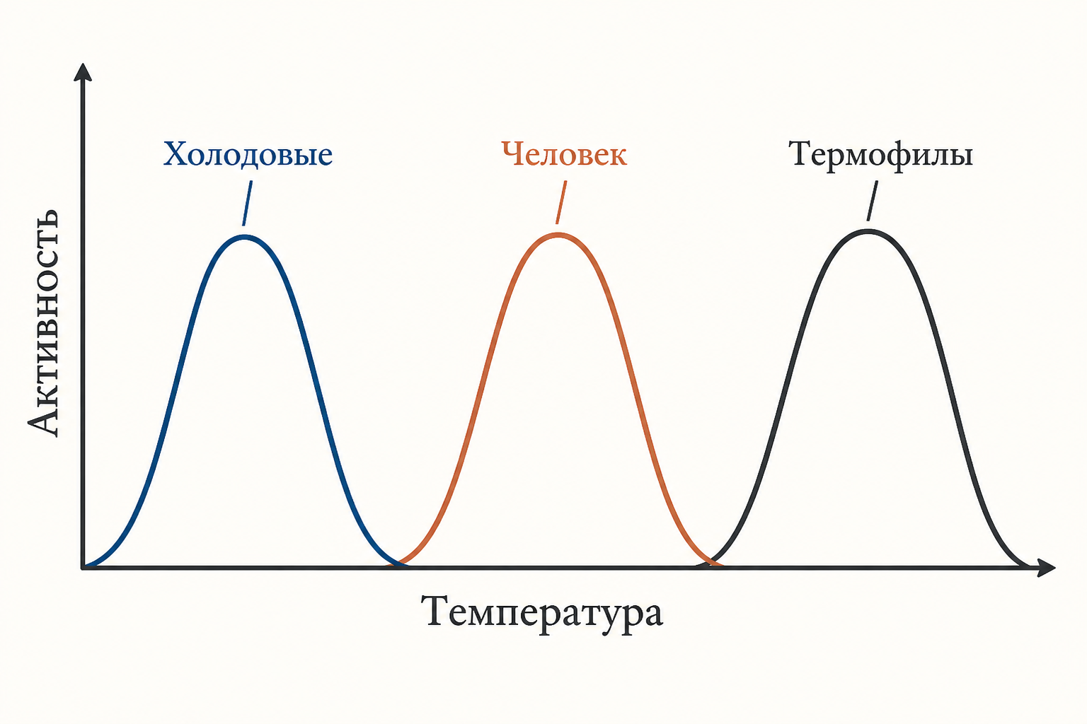 Три колоколообразные кривые активности с разными температурными оптимумами для разных организмов