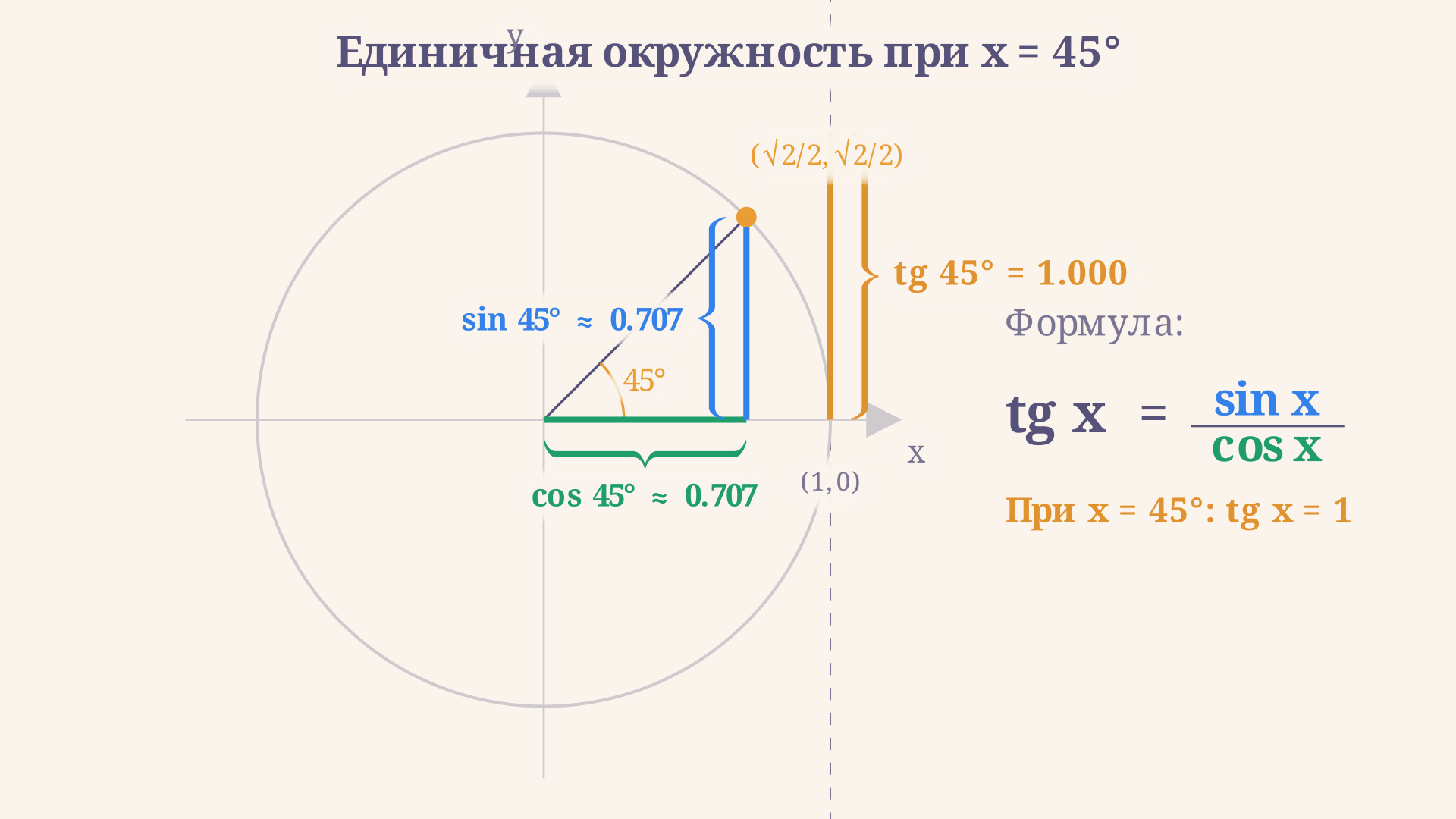 Единичная окружность: проекции точки на оси дают cos x и sin x, а отрезок на касательной к окружности - tg x
