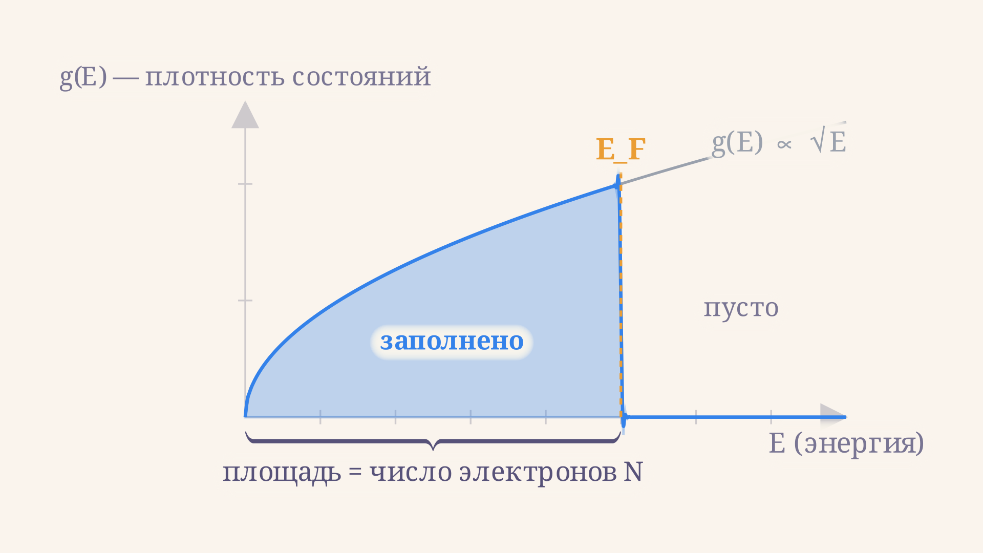 Плотность состояний g(E) растёт как корень из энергии, а при T = 0 все уровни заполнены вплоть до энергии Ферми E_F - резкая ступень, выше которой состояния пусты