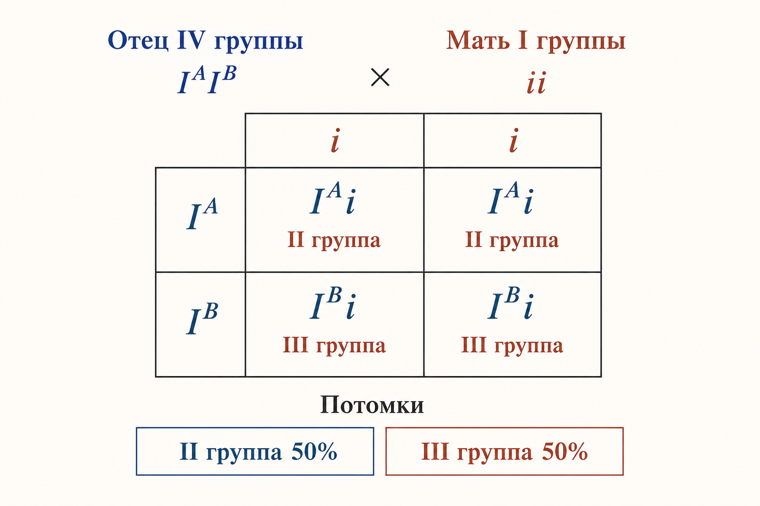 Решётка Пеннета для задачи: отец IV группы (I^A I^B) и мать I группы (ii), потомки II и III групп