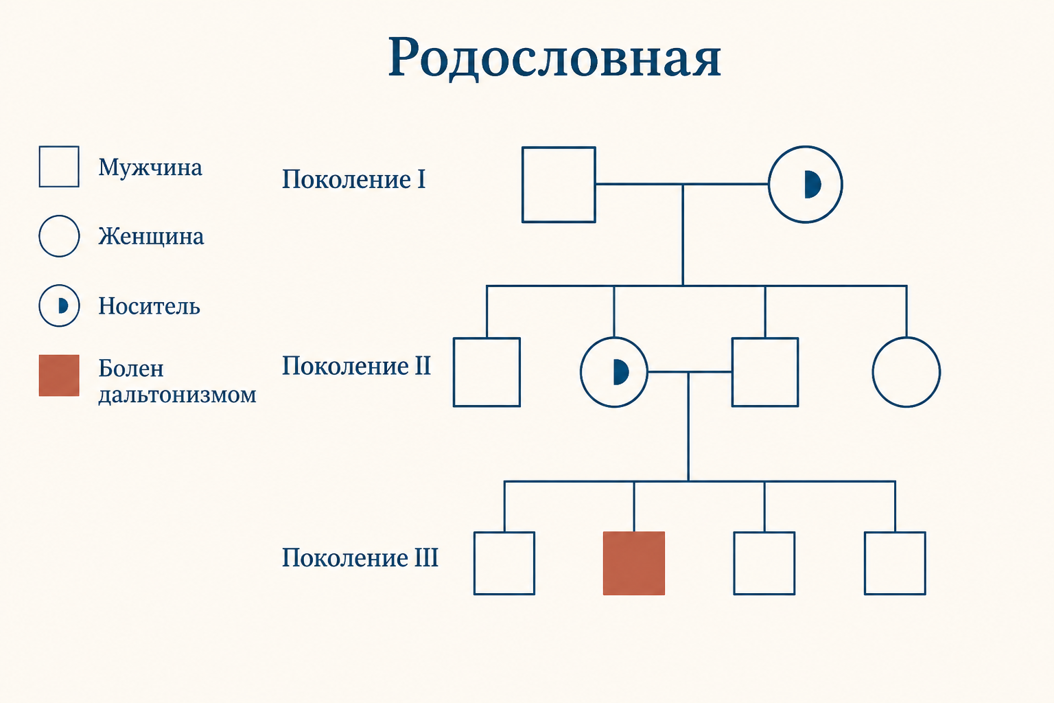 Родословная с X-сцепленным рецессивным признаком: признак проходит через здоровых женщин-носителей и проявляется у мужчин в следующих поколениях