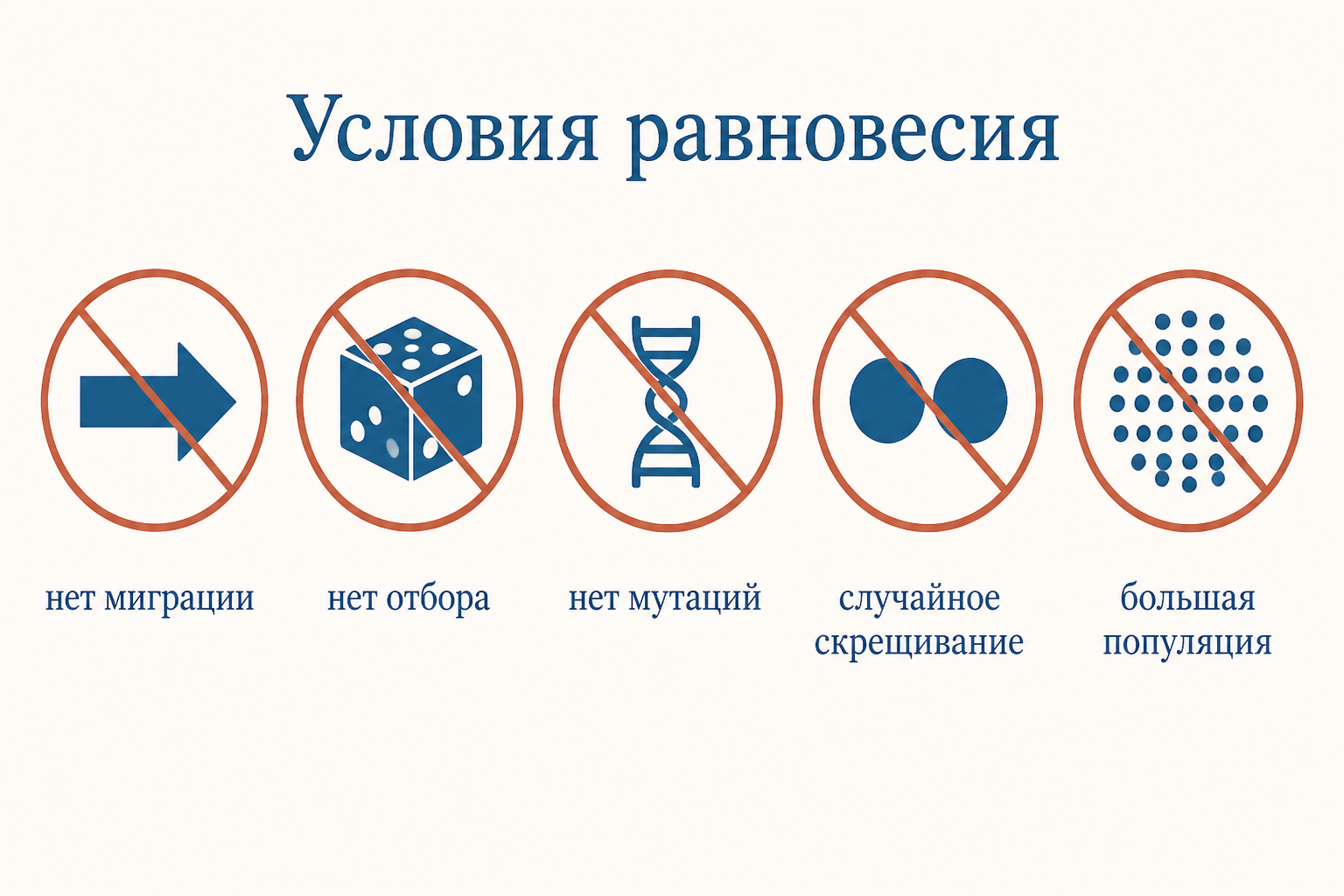 Пять условий равновесия Харди-Вайнберга: нет миграции, нет отбора, нет мутаций, случайное скрещивание, большая популяция