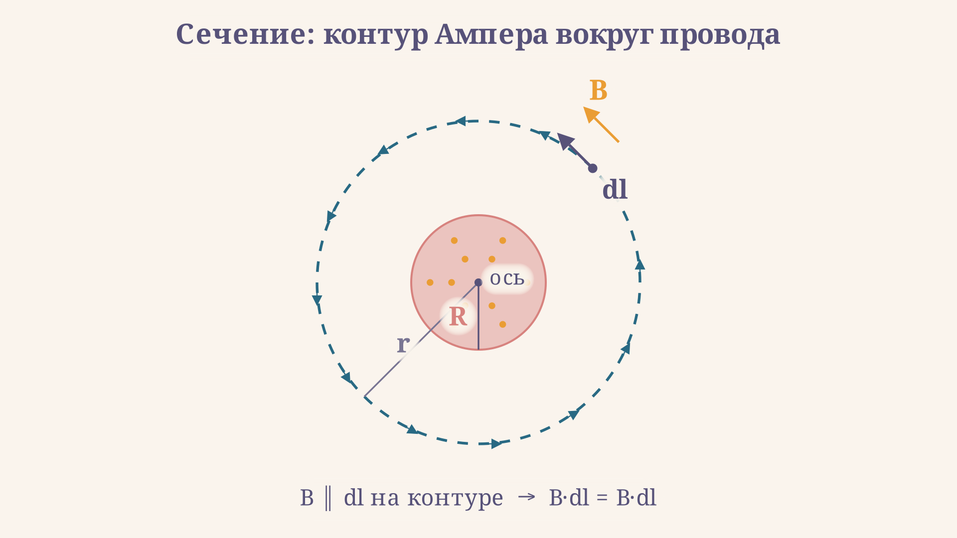 Сечение проводника с круговым контуром Ампера и вектором индукции, направленным по касательной к контуру в каждой точке