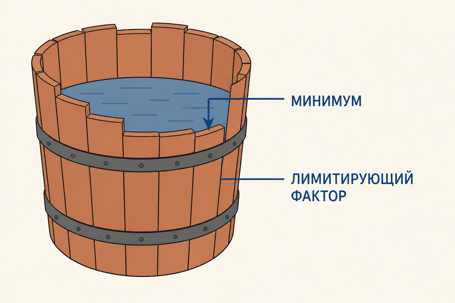 Бочка Либиха показывает, что самый дефицитный фактор ограничивает результат