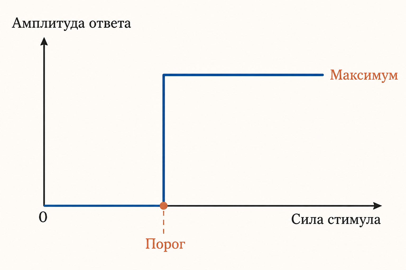 Зависимость амплитуды ответа от силы стимула: ниже порога ответа нет, на пороге происходит скачок к максимуму, дальнейший рост стимула амплитуду не меняет