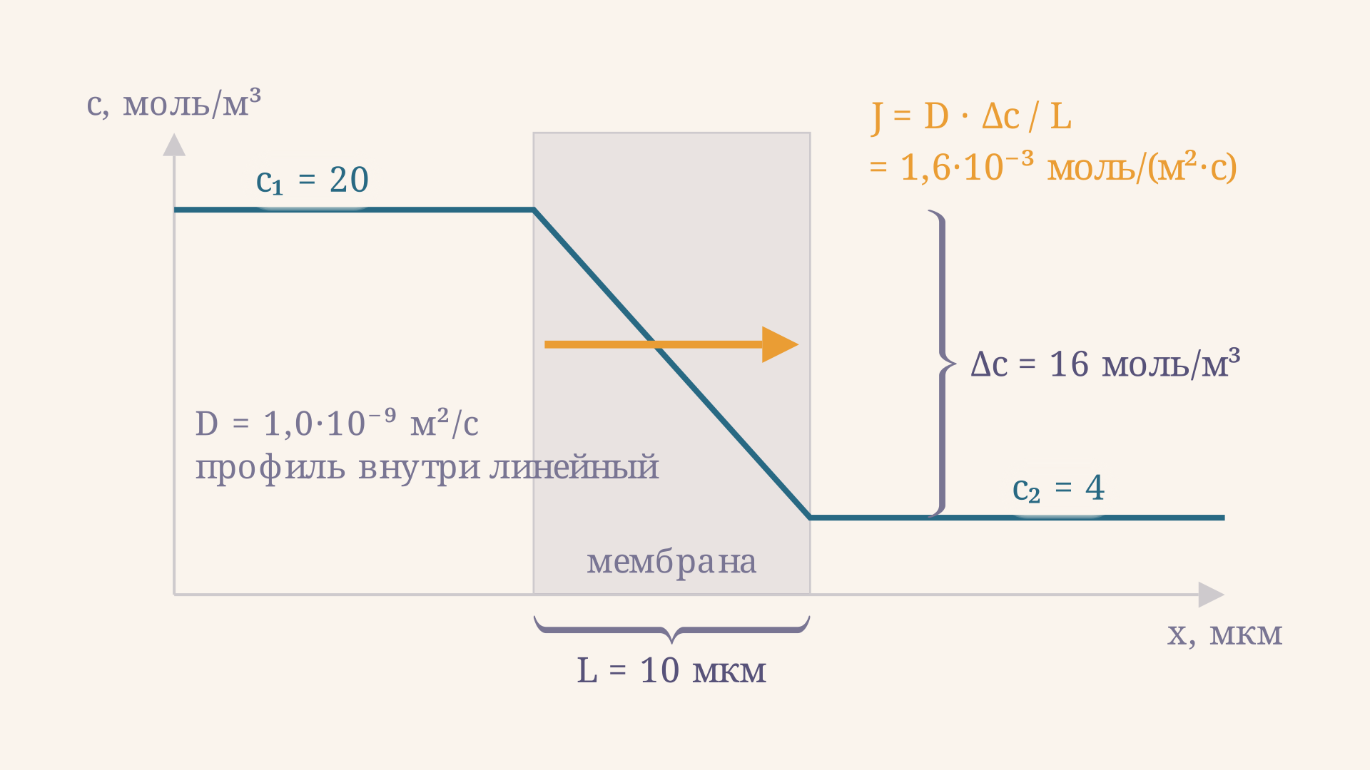 Стационарный профиль в слое толщиной 10 мкм: плато 20 моль на кубометр слева, линейный спад внутри мембраны, плато 4 моль на кубометр справа. Наклон внутри слоя постоянен, поэтому поток одинаков в каждой точке слоя