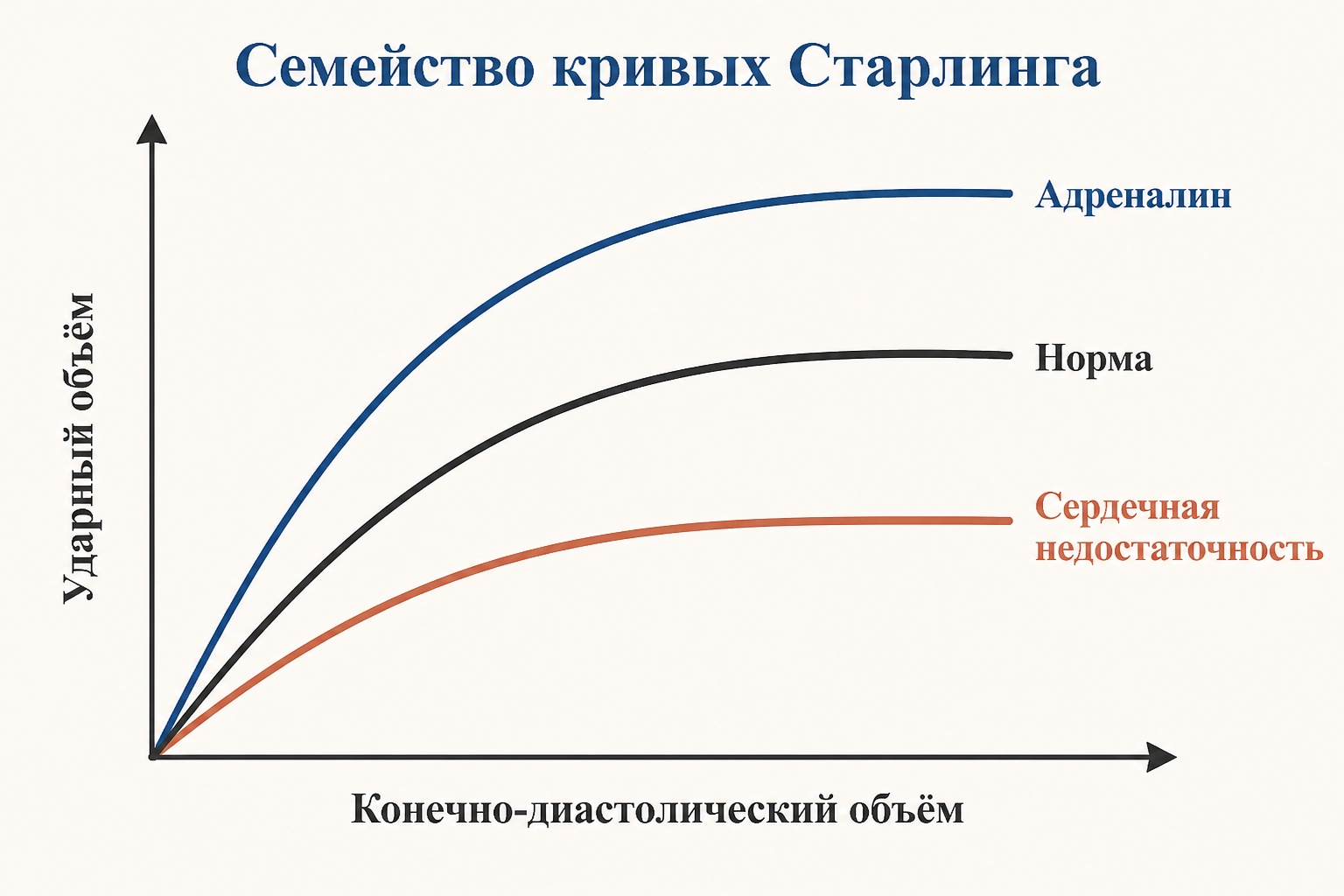 Семейство кривых Старлинга: адреналин поднимает кривую выше, сердечная недостаточность опускает и уплощает её относительно нормы