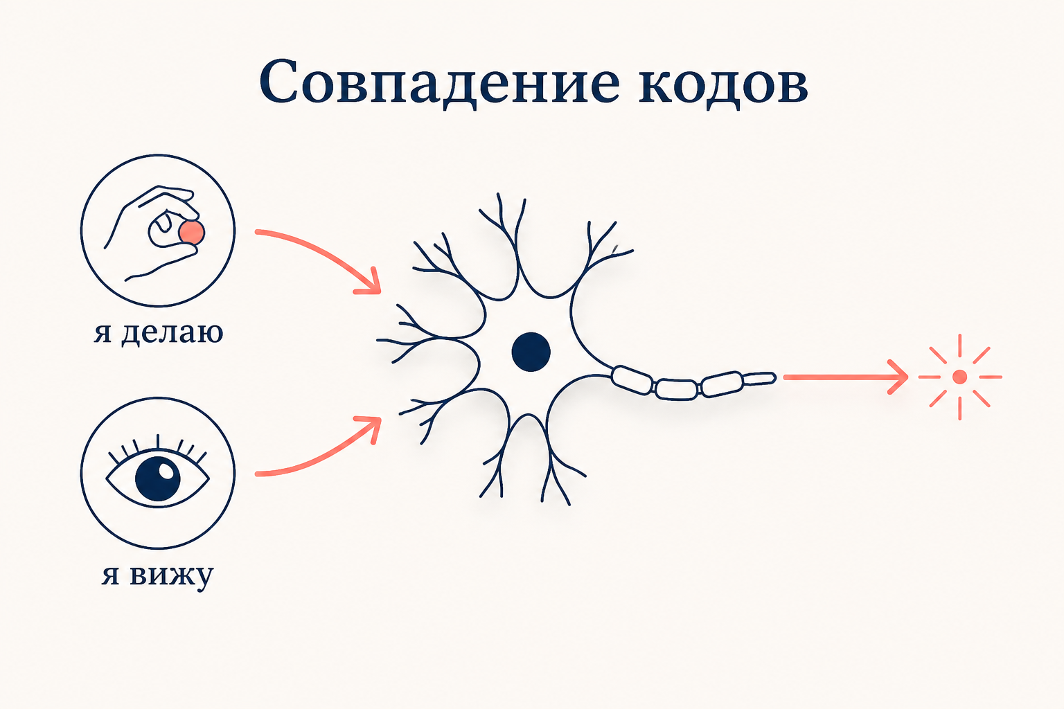 Совпадение кодов: один нейрон активируется и когда я делаю действие, и когда я вижу его у другого