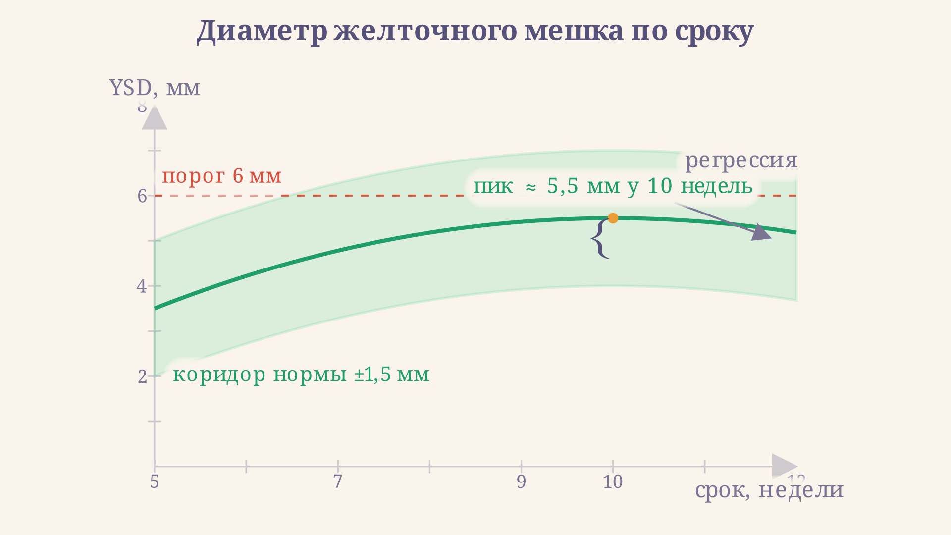 Кривая диаметра желточного мешка по неделям: рост до пика около десятой недели и последующая регрессия, с обозначенным коридором нормы