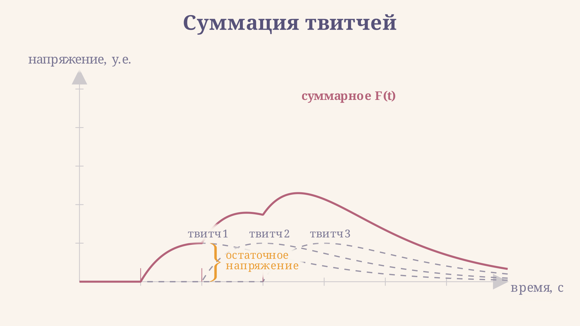Суммация одиночных сокращений в зубчатый и гладкий тетанус: схема с наложением твитчей на временной оси