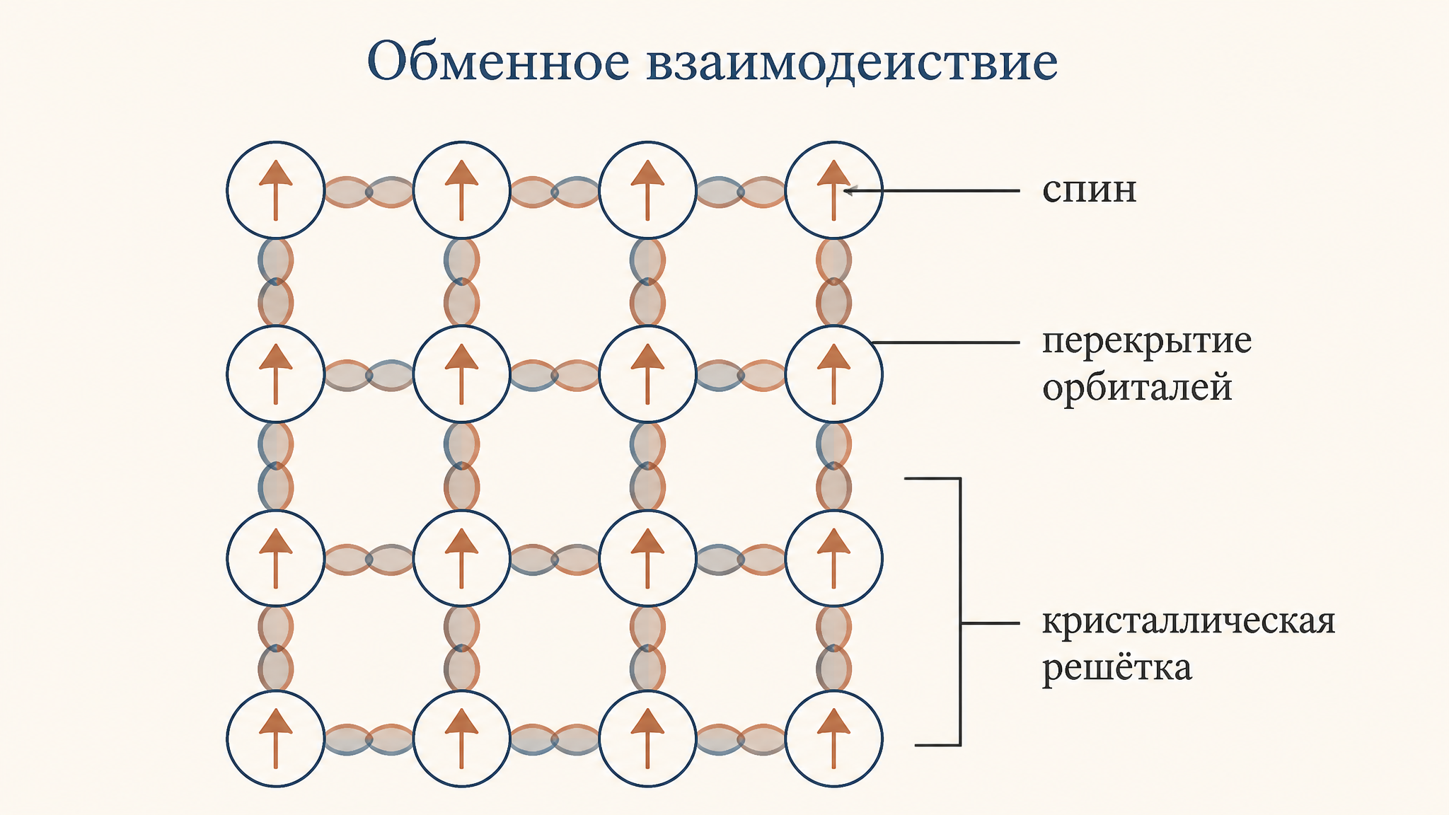 Схема обменного взаимодействия в кристаллической решётке: атомы со спинами выстроены параллельно, перекрытие орбиталей соседей задаёт обменную связь